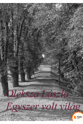 Egyszervolt világ (e-könyv)