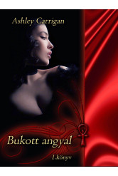 Bukott angyal (e-könyv)