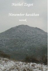 November havában (e-könyv)