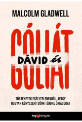 Dávid és Góliát - Történetek esélytelenekről, avagy hogyan kényszerítsünk térdre óriásokat (e-könyv)
