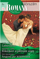 Romana különszám 78. kötet (e-könyv)