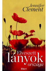 Elveszett lányok országa (e-könyv)