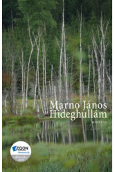 Hideghullám (e-könyv)